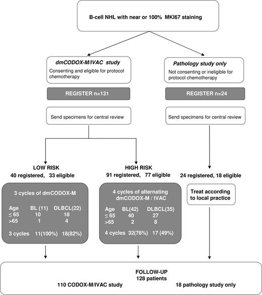 Figure 1. Study profile. Study scheme, patient accrual, risk group, and reference diagnosis.
