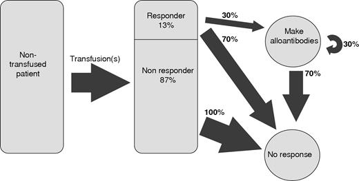 Figure 5. Schematic of the responder hypothesis. A transfusion recipient is represented by the rectangle on the left; 13% of these patients are responders and have a 30% chance of forming additional antibodies. The other patients form no antibodies.