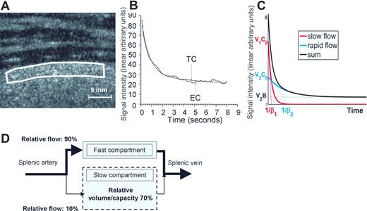Figure 1. Contrast ultrasound analysis of blood circulation in the human spleen parenchyma. (A) Enhancement of the ultrasound signal intensity in the spleen of a human volunteer receiving a constant perfusion of Sonovue microbubbles. (B) The ultrasound-induced decrease of signal intensity43 in a subcapsular zone (white line in panel A) was studied for at least 8 seconds. The best fit to the resulting experimental signal-time curve (EC) was obtained with a bi-exponential curve (TC), as shown on this typical example (the correlation co-efficient R2 was > 0.96 in all 16 volunteers). (C) Bi-exponential mathematical model of signal intensity vs time N(t) = V1(C0exp(−β1t)) + V2(B + (C0−B)exp(−β2t)), where the first and second terms correspond to a slow- and a rapid-flow compartment, respectively. (D) Schematic representation of the blood circulation in the human spleen parenchyma derived from these observations.