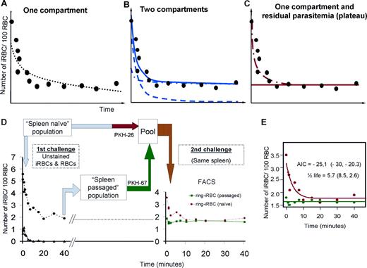 Figure 5. Modeling of ring-iRBC clearance during “circulation” and “circulation-recirculation” experiments. The uncovering of 2 ring-iRBC subpopulations. (A-C) Modeling of ring-iRBC parasitemia in the perfusate, shown by a theoretical example: one-compartment without a residual parasitemia (A), 2 compartments without a residual parasitemia (B, the plain line corresponds to the bi-exponential curve, the dotted lines to the mono-exponential curves), and 1 compartment with a residual parasitemia (C, plateau phase). The evaluation of the goodness of fit and the estimated parameters was based on the Akaike Information Criterion (AIC), the variability (VC) of the parameter estimates (the lower the AIC and VC values, the more parsimonious the model), and the random distribution of weighted residuals between measured and predicted concentrations with respect to time. Individual values are shown in Table S1. The AIC was lower for the 2-compartment model and the 1-compartment model with residual parasitemia than for the 1-compartment model without a residual parasitemia. However, for a 2-compartment model, the coefficient of variation of the second half-life parameter was not significant (> 100%). So, the 1-compartment model with residual parasitemia was the best model. (D,E) “Circulation-recirculation” experiments. Part of the iRBC and RBC population prepared for a spleen challenge (“Spleen naive” population) was kept at 37°C in perfusion medium, whereas the other part was perfused through the spleen. (D) Forty minutes after the perfusion onset, iRBCs and RBCs were retrieved from the circulating perfusate (D, “Spleen passaged” population). Both populations were differentially labeled using either PKH-26 or PKH-76 and then pooled and reintroduced into the perfusate 110 to 120 minutes after the initial perfusion step. Clearance kinetics of each iRBC subpopulation established using flow cytometry showing that spleen “naive” ring-iRBCs were cleared, whereas iRBCs previously submitted to approximately 40 spleen passages were not. The most parsimonious model of the kinetics of the “spleen naive” population was again 1 compartment with a residual parasitemia. Mean (individual values) AIC and half-life from 2 independent experiments were similar to that observed during the 6 previous “circulation” experiments (E). The most parsimonious model for the “spleen passaged” population was a residual parasitemia without elimination (Table S1).