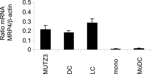 Figure 3. MRP4 mRNA levels in in vitro cultured DCs. MRP4 mRNA levels were determined in MUTZ3 progenitors, in differentiated, immature MUTZ3-DCs (DC) and MUTZ3-LCs (LC), in monocytes (mono) and in immature MoDC (MoDC) by Lightcycler RT-PCR. Depicted are the mRNA ratios compared with mRNA values for β-actin (n = 3; mean ± SD).