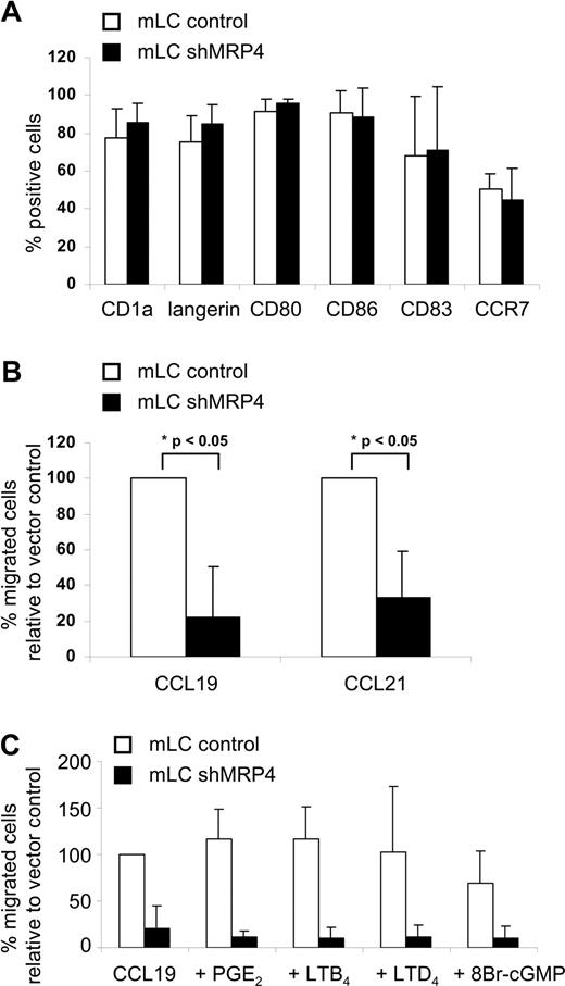 Figure 5. MRP4 down-regulation hampers mLC migration toward CCL19 and CCL21. (A) MUTZ3-vector control and MUTZ3-shMRP4 cells were differentiated into LCs and matured by addition of a cytokine cocktail (see “Methods”). Phenotypic analysis (n = 4) is depicted and shows no abnormal differentiation due to the absence of MRP4. Mature LCs were allowed to migrate in a transwell assay toward the chemokines CCL19 and CCL21 either immediately (B) or after (C) preincubation with typical MRP4 substrates (PGE2, 1 μg/mL; LTB4 and LTD4, 200 nmol/L; 8-Br-cGMP, 50 μmol/L). The percentages migrated cells are given relative to the vector control migrated cells (n = 3 for panels B and C; mean ± SD).