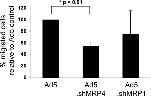 Figure 6. DC-targeted down-regulation of MRP4 reduced human skin DC migration. GM-CSF– and IL-4–activated human skin DCs were in situ (intradermally) targeted with adenoviruses encoding shMRP4 or shMRP1, using a sCAR-CD40L fusion protein (CFm40L) and a human skin explant culture model. After 48 hours, migrated DCs were harvested and quantified (n = 4 donors, 12-20 biopsies per condition per experiment; mean ± SD).