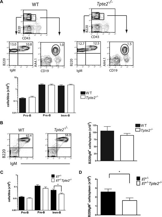 Figure 2. Limited role of TSLP in IL-7–independent BM B lymphopoiesis. (A) FACS profiles (top) and mean (SD) numbers (bottom) of pro-B, pre-B, and imm-B cells in BM of 9- to 11-week-old WT littermate (n = 5) and Tpte2−/− (n = 8) mice (each from 3 litters). (B) FACS profiles and mean (SD) numbers of B220IgM+ cells in spleen of 9- to 11-week-old WT littermate (n = 3) and Tpte2−/− (n = 13) littermate controls. (C) Pro-B, pre-B, and imm-B cells in BM and (D) B220IgM+ cells in spleen of 3-week-old littermate Il7−/− and Il7−/−Tpte2−/− mice (n = 7 and n = 12, 4 litters). Numbers in FACS profiles show the mean percentage of cells within the indicated gates or quadrants of total BM or spleen cells (*P < .05).