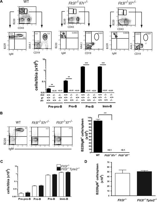 Figure 3. Critical role of FLT3L but not TSLP in IL-7–independent B lymphopoiesis. (A) FACS profiles and mean (SD) numbers of pre-pro-B, pro-B, pre-B, and imm-B cells in BM of 10- to 11-week-old WT (n = 4), Flt3l−/−Il7r−/− (n = 7-8), and Flt3l−/−Il7−/−(n = 11) mice. (B) FACS profiles and mean (SD) numbers of B220IgM+ cells in spleens of 10- to 11-week-old WT (n = 4), Flt3l−/−Il7r−/− (n = 6), and Flt3l−/−Il7−/−(n = 9) mice. (C) Mean (SD) numbers of pre-pro-B, pro-B, pre-B, and imm-B cells in BM and (D) B220IgM+ cells in spleen of littermate Flt3l−/−(n = 6, 3 litters) and Flt3l−/−Tpte2−/−(n = 6, 3 litters) mice. Numbers in FACS profiles show the mean percentages of cells in quadrants or gates as indicated of total BM and spleen cells (**P < .01, ***P < .001).