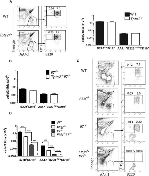 Figure 4. Absolute requirement of FLT3L but not TSLP in perinatal B-1 lymphopoiesis. (A) FACS profiles and mean (SD) numbers of total lin− AA4.1+B220+CD19+ cells and lin− AA4.1+CD19+B220−/low B-1 progenitors in the BM of 1-day-old WT littermate and Tpte2−/− (n = 8 and n = 6, 2-3 litters) mice. (B) Mean (SD) numbers of total lin−AA4.1+B220+CD19+ cells and B-1 progenitors in 1-day-old BM of littermate Il7−/− (n = 6) and Tpte2−/−Il7−/− (n = 5). (C) FACS profiles and (D) mean (SD) numbers of total lin−AA4.1+B220+CD19+ cells and lin− AA4.1+CD19+B220−/low B-1 progenitors in the BM of 1-day-old WT (n = 16), Flt3l−/− (n = 12), Il7−/− (n = 10), and Flt3l−/−Il7−/− (n = 11) mice (each from at least 2 litters). Numbers in FACS profiles show the percentages of cells within the indicated gates of total BM cells (mean values from all analyzed mice). For panel C, a range of 20 764 to 137 438, 36 500 to 87 584, 22 367 to 74 650, and 16 809 to 143 764 cell events were acquired for the WT, Flt3l−/−, Il7−/−, and Flt3l−/−Il7−/− samples, respectively. # The majority of Flt3l−/−Il7−/− mice had no detectable B-1 progenitors by FACS, and none of the mice had more than 100 cells per 2 tibias (***P < .001).
