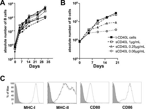 Figure 1. CD40 activation is highly effective in generating large numbers of CD40-activated B cells that express high levels of MHC and costimulatory molecules. (A) Overall expansion of CD40-activated B cells from 8 different persons. CD40-activated B cells were generated by the coculture of PBMCs from 5 mL of peripheral blood with CD40L-transfected NIH3T3 (t-CD40-L) cells. (B) sCD40-L is as efficient as t-CD40-L cells at expanding human B cells in culture. CD40-activated B cells were generated by t-CD40-L cells or different concentrations of soluble hexameric CD40-L. The results shown are representative of 3 independent experiments. (C) Expression of CD80, CD86, and MHC class I and II on the CD40-activated B cells cultured for 8 days (solid histograms). The filled histograms were obtained with relevant isotype controls. Data shown here are representative of B-cell populations obtained from 8 different healthy adult donors.