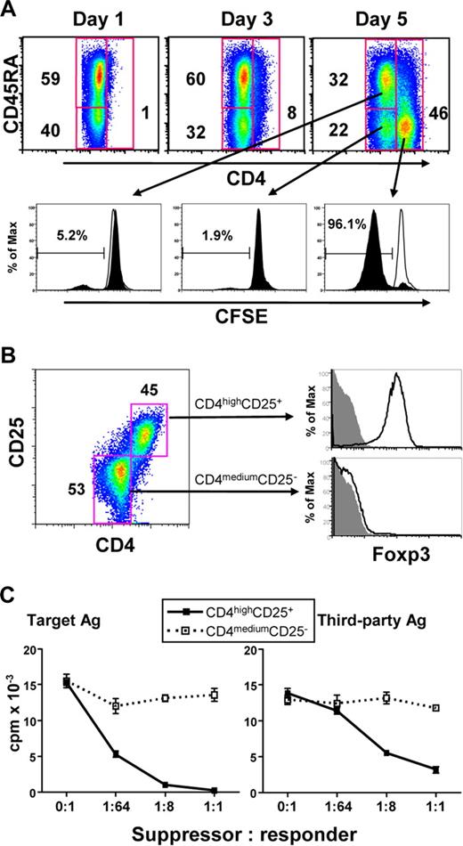 Figure 2. Human alloreactive CD4high cells induced by CD40-activated B cells are Treg. (A) CD4 expression in CD4+CD25− T cells stimulated with allogeneic B cells for 5 days (top panels), and its relationship with cell proliferation based on the loss of CFSE label and CD45RA expression. Top panels represented the T cells gated on CD4. The percentage of CD4+ T cells in each gate is indicated. For the bottom panel, open histograms indicate the CFSE fluorescence intensities of the unstimulated control T cells, and the filled histograms represent the CFSE fluorescence intensities of the allostimulated T cells. The numbers in each histogram represent the percentage of cells that have undergone mitosis from each cell subset. (B) CD4high cells express both CD25 and Foxp3. The dot plot on the left shows CD25 expression after 5 days of allostimulation. Open histograms on the right show the Foxp3 expression, and filled histograms indicate the isotype controls. The results shown are representative of 4 different experiments. (C) CD4highCD25+ Treg generated from CD4+CD25− T cells potently suppressed MLR in an antigen-nonspecific manner. Freshly purified CD4+CD25− T cells were cocultured with CD40-activated allogeneic B cells for 7 days. The sorted CD4highCD25+ (■) and CD4mediumCD25− (□) cells were added into MLR culture system as described in “Mixed lymphocyte reaction assays.” Proliferation (y-axis) is shown for 3 days of MLR. The results shown are representative of 5 different experiments.