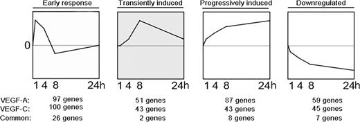 Figure 1. Microarray time course analysis of LECs treated with VEGF-A or VEGF-C reveals 4 major temporally regulated gene clusters. Transcription profiling and STEM analysis of LECs stimulated with VEGF-A or VEGF-C, respectively, for 1, 4, 8, or 24 hours revealed 97 and 100 genes specifically up-regulated at 1 hour (early response genes), 51 and 43 genes up-regulated transiently (transiently induced), 87 and 43 genes up-regulated progressively over time (progressively induced) and 59 and 45 genes down-regulated over time (down-regulated).