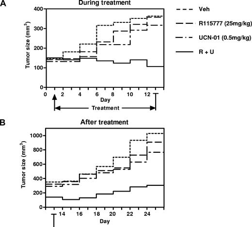 Figure 6. Cotreatment with R115777 and UCN-01 results in marked tumor growth suppression in a murine xenograft model of MM.1S cells. (A,B) Nude mice were inoculated subcutaneously with 107 MM.1S cells into the right rear flank. After tumors were measurable, 25 mg/kg R115777 with or without 0.5 mg/kg UCN-01 were administrated intraperitoneally daily for 12 days. Tumor size was monitored every 2 days during drug treatment (days 1-12; panel A) and for an additional 12 days after cessation of drug treatment (days 13-24; panel B). Mean tumor volumes are shown (n = 9 per group).