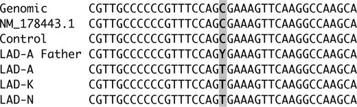 Figure 1. Multiple alignment of genomic DNA sequence surrounding the putative stop codon mutation within the Kindlin3 F3 region. The reference genome (NCBI human genome database build 36.2, chr11: 63744678-63744716), the mRNA (RefSeq: NM_178443.1), and genomic sequences from one normal control, one parent of a LADIII patient (LAD-A), and 3 LADIII patients (LAD-A, LAD-K, and LAD-N) were aligned surrounding the mutation nt1632c > t. The base of the mutation is highlighted.