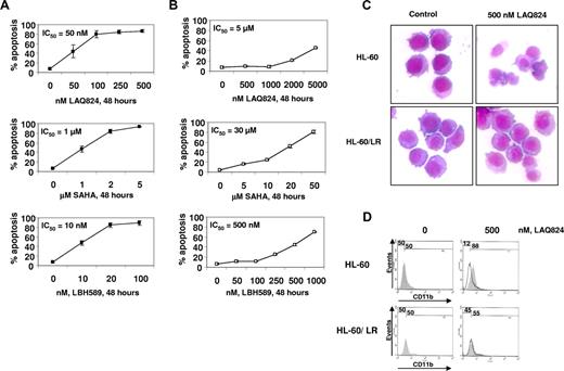 Figure 1. Compared with HL-60, HL-60/LR cells are highly resistant to apoptosis induced by LAQ824, SAHA, and LBH589. HL-60 (A) or HL-60/LR cells (B) were treated with the indicated concentrations of LAQ824 (top panel), SAHA (middle panel), and LBH589 (bottom panel) for 48 hours. After this, the percentage of annexin V–stained apoptotic cells was determined by flow cytometry. Values on the curves represent the mean of 2 experiments performed in duplicate. IC50 values were determined and indicated in the top left of each graph. Error bars indicate SE. (C) After treatment of cells with 500 nM LAQ824 for 24 hours, cells were Wright stained and the morphology of the untreated and LAQ824-treated cells was determined by light microscopy with a Nikon Eclipse 50i microscope (Nikon, Melville, NY) using a PLAN 40×/0.65 NA objective and a Nikon CCD camera. (D) HL-60 and HL-60/LR cells were treated with 500 nM LAQ824 for 24 hours. After treatment, CD11b expression on the surface of the cells was measured by flow cytometry.