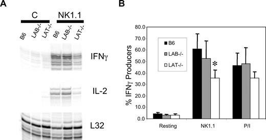 Figure 6. LAT−/− ALAK cells have reduced levels of cytokine production. (A) ALAK cells from the indicated strains were stimulated with anti-NK1.1 or not “C” for 5 hours. mRNA was extracted and subjected to RPA analysis for IFNγ and IL-2 as described in “Methods.” (B) The indicated ALAK cells were stimulated for 6 hours with plate bound anti-NK1.1 or a combination of PMA and ionomycin in the presence of befeldin A. The cells were then stained for DX5, CD3, and intracellular IFNγ. The percentage of DX5+CD3− cells producing IFNγ is shown. Data in panel A are representative of 3 independent experiments. Data in panel B are the mean of 3 independent experiments plus or minus SEM. *P < .03 by Student t test between B6 and LAT−/−.