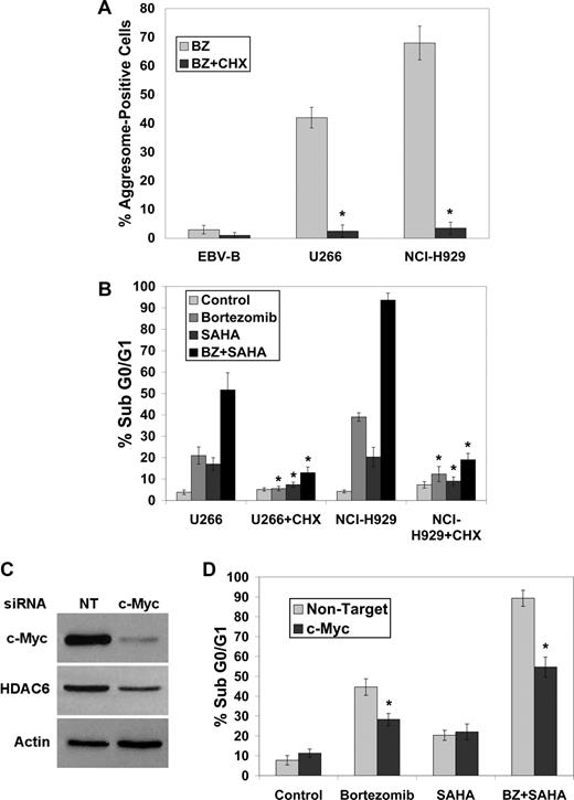 Figure 3. Blocking protein synthesis impairs bortezomib-induced aggresome formation and BZ + SAHA–mediated apoptosis. (A,B) Cycloheximide blocks bortezomib-induced aggresome formation and apoptosis. Cells were treated with bortezomib in the presence or absence of 1 μg/mL cycloheximide for 24 hours. Aggresomes were quantified by confocal microscopy and apoptosis was measured by PI-FACS analysis. Mean (n = 3), SD. * indicates a significant difference from cells treated without cycloheximide, P < .05. (C,D) Knockdown of c-Myc using siRNA reduces BZ + SAHA–induced apoptosis. Myc expression was decreased in NCI-H929 cells as described in “siRNA transfection,” and immunoblotting was performed to confirm silencing of c-Myc and demonstrate associated decrease in HDAC6 expression. After exposure to c-Myc or nontarget siRNA, cells were treated with 5 nM BZ, 2 μM SAHA, or both agents, and apoptosis was measured by PI-FACS analysis. Mean (n = 3), SD. * indicates a significant difference from transfection with nontargeted siRNA, P < .05.