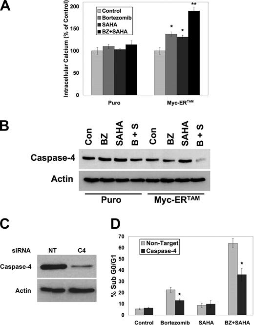 Figure 6. Myc sensitizes HFFs to bortezomib-mediated, ER stress–induced apoptosis. (A) Myc activation increases intracellular calcium levels induced by BZ + SAHA. HFFs expressing the MSCV-IRES-puro or MSCV-Myc-ERTAM-IRES-puro retroviruses were pretreated with 1 μM 4-HT for 24 hours and then treated with 100 nM BZ and 2 μM SAHA for 12 hours. Cells were collected, stained, and analyzed as described in “Measurement of intracellular Ca2+ levels.” Mean (n = 3), SD. * indicates a significant difference from control and ** represents a significant difference from single-agent treatments, P < .05. (B) Activation of Myc promotes caspase-4 activation after treatment with BZ + SAHA. The indicated cells were pretreated with 1 μM 4-HT for 24 hours and then treated with 100 nM BZ and 2 μM SAHA for 24 hours. Cells were collected and caspase-4 levels were detected by immunoblotting. (C,D) Caspase-4 contributes to BZ + SAHA–induced apoptosis. Caspase-4 levels were reduced using siRNA and knockdown was confirmed by immunoblotting. Cells were pretreated with 1 μM 4-HT for 24 hours and then treated with 100 nM BZ and 2 μM SAHA for 24 hours. Apoptosis was measured by PI-FACS analysis. Mean (n = 3), SD. * indicates a significant difference from nontarget siRNA–treated cells, P < .05.