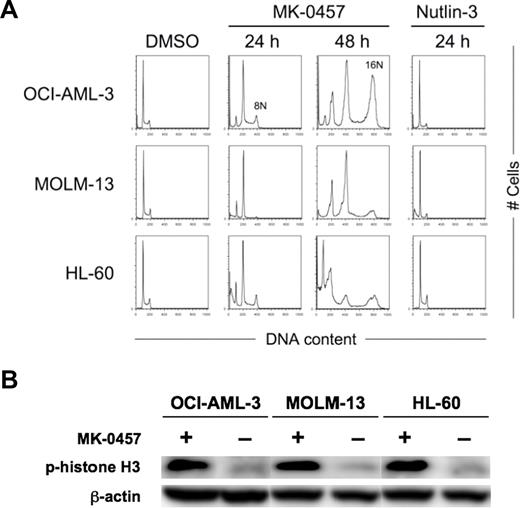Figure 1. Inhibition of Aurora kinase activity induces endoreduplication in AML cells. (A) AML cells were treated for the indicated time with 10 nM MK-0457 or 2.5 μM Nutlin-3. MK-0457 induced time-dependent endoreduplication of the cells irrespective of the p53 status. Nutlin-3 caused G1-phase cell-cycle arrest only in wild-type p53 OCI-AML-3 and MOLM-13 cells. Results are representative of 3 independent experiments. (B) Expression of phosphorylated histone H3 in AML cells after 24 hours of treatment with 10 nM MK-0457. MK-0457 abrogated histone H3 phosphorylation on Ser10. Results are representative of 3 independent experiments.
