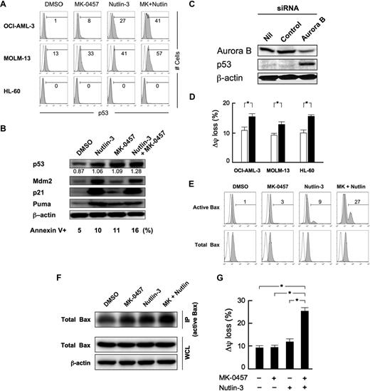 Figure 3. Aurora kinase inhibition induces p53 and enhances p53-mediated mitochondrial apoptosis. (A) Cells were treated for 12 hours with 10 nM MK-0457 and 2.5 μM Nutlin-3 (1 μM in MOLM-13 cells), either as individual agents or in combination. DMSO-treated cells served as control. (B) Expression of p53-related proteins in OCI-AML-3 cells, which were treated for 24 hours with 2.5 μM Nutlin-3 and 10 nM MK-0457, either as individual agents or in combination. MK-0457 as well as Nutlin-3 induced increased protein expression of Mdm2, p21, and a BH3-only member of the Bcl-2 family protein Puma in OCI-AML-3 cells. The intensity of the p53 signals was quantified by densitometry using ImageJ 1.38x software, and the relative intensity compared with β-actin was calculated. (C) Western blot analysis of OCI-AML-3 cells electroporated with either control or Aurora B siRNA. Twenty-four hours after siRNA electroporation, Aurora B, p53, and β-actin levels were determined. (D) AML cells were cultured for 12 hours in the absence (□) or presence (■) of 10 nM MK-0457. Δψm was assessed by flow cytometry. Data are mean plus or minus SD of triplicate measurements. Comparable results were obtained in 2 other independent experiments. *P ≤ .01. (E) MK-0457 and Nutlin-3 synergistically induce Bax conformational change. MOLM-13 cells were treated with 10 nM MK-0457 and 2.5 μM Nutlin-3 for 6 hours, either as individual agents or in combination, and Bax conformational change was determined by staining with the active conformation-specific anti-Bax antibody YTH-6A7 (shaded histogram) or a corresponding isotype control (open histogram). To block caspase activation-mediated conformational change of Bax, cells were preincubated for 1 hour with 50 μM Z-VAD-FMK. Results are representative of 3 independent experiments. (F) After 1 hour of preincubation with 50 μM Z-VAD-FMK, MOLM-13 cells were treated with 10 nM MK-0457 and 2.5 μM Nutlin-3 for 6 hours, either as individual agents or in combination. Active Bax was immunoprecipitated (IP) from total cell lysates with the conformation-specific antibody YTH-6A7. The amount of immunoprecipitated Bax and the levels of Bax and β-actin in whole-cell lysates (WCL) were determined by Western blot analysis. (G) MK-0457 and Nutlin-3 synergistically induce Δψm loss. MOLM-13 cells were cultured for 6 hours in the presence of DMSO, 10 nM MK-0457, 2.5 μM Nutlin-3, or a combination of MK-0457 and Nutlin-3. Δψm was assessed by flow cytometry. Data are mean plus or minus SD of triplicate measurements. Comparable results were obtained in 2 other independent experiments. *P ≤ .01.