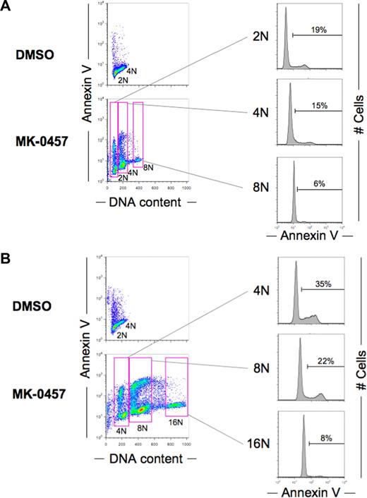 Figure 4. Cells with higher DNA content are resistant to MK-0457–induced apoptosis. MOLM-13 cells were treated with 10 nM MK-0457 for 36 hours (A) or 48 hours (B). The annexin V–positive fractions in correlation with DNA content were measured by flow cytometry. Data were gated on the FL2-area versus FL2-width cytogram to exclude doublets. DMSO-treated cells served as control. Results are representative of 3 independent experiments.