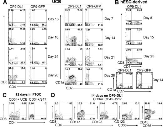 Figure 2. Development of T cells in vitro from UCB- but not from hESC-derived hematopoietic progenitor cells. (A) CD34+ UCB cells or (B) CD34+ hESC-derived cells were cocultured with OP9-DL1 or OP9-GFP stromal cells. Cells were harvested at the indicated time points and analyzed by flow cytometry for surface expression of CD4, CD8, CD7, and CD1a. (C) FTOC culture of UCB- and hESC-derived hematopoietic progenitors. CD34+ cells from UCB and hESC/S17 sources were cultured for 12 days in mouse fetal thymic lobes. Cultured cells were analyzed by flow cytometry for expression of CD4 and CD8 using antibodies specific for human proteins. (D) CD34+ CD45+ hESC-derived progenitors were cocultured with OP9-DL1 for 14 days and analyzed by flow cytometry for expression of CD4, CD8, CD11c, CD123, CD33, CD45, and CD56.
