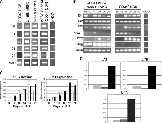 Figure 4. hESC-derived hematopoietic cells constitutively express transcription factors that promote NK-cell development from lymphoid progenitor cells. (A) UCB CD34+ cells, undifferentiated hESCs, and indicated differentiated hESC-derived cell populations were analyzed for expression of E2A, ID1, ID2, ID3, ID4, and ACTIN by RT-PCR. hESC/S17 represents hESC allowed to differentiate on S17 stromal cells for 14 days and analyzed either as an unsorted population, or sorted for CD34+CD45+, CD34+ Flk1−, or CD34+ Flk1+ cells as indicated. (B) Gene expression in hESC- and UCB-derived hematopoietic progenitor cells during NK differentiation. CD34+ hESC/S17 cells at 16 days of differentiation (left panels) and CD34+ UCB (center panels) cells were cultured in NK supporting conditions for indicated numbers of days, then analyzed at the indicated days for expression of ID1, ID2, ID3, RAG-1, CD122, SLUG, and ACTIN genes by RT-PCR. (C) Q-RT-PCR of ID2 and ID3 expression from hESCs cocultured with S17 stromal cells in standard differentiation conditions (□, RPMI + 15% FBS) or with serum-free medium containing BMP-4 (■, StemPro + BMP-4). Cells were harvested after the indicated number of days and analyzed by Q-RT-PCR for ID2, ID3, and ACTIN expression. cDNA content was normalized according to actin levels, and expression of ID2 and ID3 was calculated relative to day-0 expression levels. Data from 1 of 2 replicate studies are shown. (D) Q-RT-PCR analysis of E2A-responsive genes LAT, IL7Rα, and IL1a in hESC/S17 cells at 16 days of differentiation (), sorted hESC-derived CD34+CD45+ cells (), and CD34+ cells from UCB (■). Results are presented as relative gene expression normalized to UCB CD34+ cells.