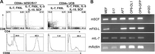 Figure 5. The effect of cytokines on lymphoid lineage differentiation in vitro. (A) Addition of SCF, IL-3, and IL-15 promotes increased NK-cell differentiation. CD34+ hESC/S17 (left panels) and CD34+ UCB (right panels) cells were cocultured with OP9-DL1 stromal cells for 30 days. Cultures were supplemented with exogenous IL-7 and Flt3L (T-cell conditions) or with IL-7, Flt3L, SCF, IL-3, and IL-15 (NK-cell conditions). Cells were harvested and analyzed by flow cytometry for expression of CD4, CD8, and CD56. (B) To determine other sources of cytokines that could stimulate hESC-derived cells, the indicated mouse stromal cell lines were analyzed by RT-PCR for expression of the cytokines Scf, Flt3L, IL-7, and β-actin.
