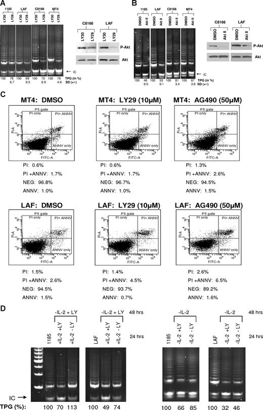 Figure 2. The PI3K and AKT pathways are associated with increased telomerase activity in HTLV-I–immortalized and –transformed cells. (A,B) IL-2–independent (MT4 and C8166) and –dependent (LAF and 1185) cells were treated with LY29 (LY294002, 10 μM) or control, LY30 (LY303511, 10 μM), for 48 hours, followed by TRAP analysis for telomerase activity. (B) Cells were treated with AKT Inhibitor II (20 μM) or DMSO control (solvent control). TPGs are calculated as the percentage activity compared with cells grown without inhibitor (100%). Results are representative of at least 2 independent experiments, and SD is indicated. To verify inhibitor efficacy, total cell extracts were immunoblotted with anti-phosphorylated AKT (P-AKT). Anti-AKT served as a loading control. The percentage of decreased expression of P-AKT, as stated in the text, was calculated by spot densitometry with cells grown in either LY30 or DMSO considered to be 100%. (C) HTLV-I cell lines, MT4 and LAF, were treated for 48 hours with either LY29 (10 μM), AG490 (50 μM), or control DMSO. Cells were subsequently stained for annexin V and propidium iodine (PI), and analyzed for apoptosis by FACS analysis. The percentage of dead cells for each treatment is indicated. (D) 1185 and LAF cells were cultivated without IL-2 and in the presence of LY29 (10 μM) for 48 hours. After the 48-hour incubation period, the cultures were split and IL-2 was added in the absence or presence of LY29 (10 μM) for an additional 24 hours. TRAP analysis was performed and TPGs were calculated as the percentage of activity compared with cells grown without treatment (100%). As a control, cells were grown for 48 hours without IL-2, then treated an additional 24 hours without IL-2, with or without LY29 (10 μM). Cells grown continuously in IL-2 served as a positive control.