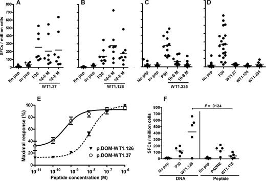 Figure 2. DNA vaccination induces WT1-specific IFN-γ–secreting T cells in HHD mice. HHD mice were vaccinated with (A) p.DOM-WT1.37 (n = 7), (B) p.DOM-WT1.126 (n = 8), (C) p.DOM-WT1.235 (n = 12), or (D) p.DOM (n = 20) and were boosted 28 days later with the same vaccine delivered using in vivo electroporation. On day 36, splenic lymphocytes were harvested by density centrifugation of spleen cells and the frequency of specific T cells assessed by IFN-γ ELISpot following a brief incubation alone (no pep), with an irrelevant peptide (irr pep; 10−6 M) with p30 peptide (10−6 M) or with the relevant WT1 peptide (10−6 M or 10−8 M). Data are expressed as the number of spot-forming cells (SFCs) per million lymphocytes and are a combination of 2 experiments with similar results; group means are represented by a horizontal bar. Responses were considered significant if the frequency of IFN-γ–secreting cells was more than double the frequency detected in wells without peptide. (E) Lymphocytes from mice vaccinated with p.DOM-WT1.37 (n = 4) or p.DOM-WT1.126 (n = 9) were incubated with a range of peptide concentrations and the frequency of specific cells assessed by ELISpot analysis as before. Data are shown as the mean percentage of the maximum obtained for each mouse with the SEM indicated. A nonlinear line of best fit was plotted using GraphPad Prism 4 software. (F) HHD mice were injected with DNA vaccine (p.DOM-WT1.126; DNA) or with peptide vaccine (WT1.126 peptide in IFA mixed with PADRE peptide: peptide). Lymphocytes were harvested on day 10 and the frequency of vaccine-specific T cells assessed by IFN-γ ELISpot following a brief incubation alone (no pep), with the Th peptides p30 or PADRE (10−6 M) or with the WT1.126 peptide (10−6 M). Group means are represented by a horizontal bar.