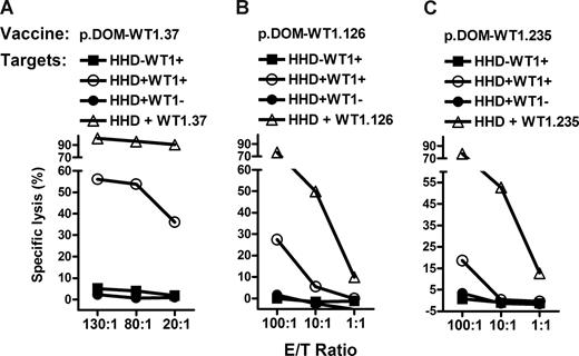 Figure 3. WT1-specific T cells induced by DNA vaccination are peptide specific and kill target cells presenting WT1. Splenocyte cultures from individual mice previously immunized with (A) p.DOM-WT1.37, (B) p.DOM-WT1.126, or (C) p.DOM-WT1.235 were established by stimulation in vitro for 2 weeks before assessing cytotoxicity by 51Cr-release assay. Cytotoxicity was assessed at the effector:target ratios shown, against human tumor cells endogenously expressing WT1 and stably transduced with the chimeric humanized MHC class I molecule, HHD, denoted as HHD+WT1+ (specifically, KYO-HHD (A and C) or 697-HHD (B) cells). Cell lines expressing either WT1 (HHD−WT1+) or HHD (HHD+WT1−) were included as negative controls (KYO-1 and C1RA2-HHD, respectively), HHD-transduced cells pulsed with the relevant peptide were used as positive controls.
