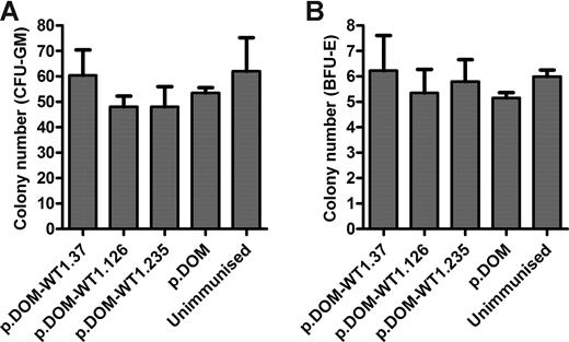 Figure 4. Vaccination with p.DOM-WT1 DNA vaccines does not lead to destruction of hematopoietic stem cells. Groups of mice were injected with the vaccines shown on days 0 and 28 (+ electroporation), or were left unimmunized. Mice were culled between days 36 and 42 and spleen and bone marrow collected. Splenocytes were used to confirm the presence of WT1-specific T cells by ELISpot; nonresponding mice were excluded from analysis (data not shown). Bone marrow cells were assessed for the frequency of (A) colony-forming units granulocyte-macrophage (CFU-GM) and (B) burst-forming units-erythroid (BFU-E). Data are a pool of 3 of 3 experiments with group means and standard deviations shown.
