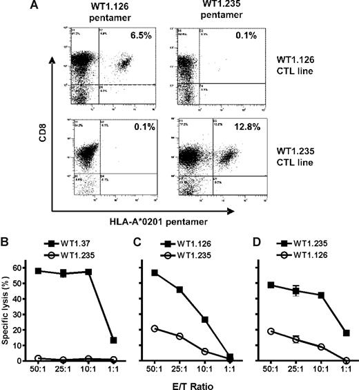 Figure 5. Human WT1-peptide–specific CTLs can be expanded in vitro and specifically kill peptide-pulsed cells. (A) Independently in vitro expanded WT1.126 (top row) and WT1.235-specific (bottom row) CD8+ T cells were identified on day 31 and day 45 of culture, respectively, by double-labeling using specific–HLA-A*0201/peptide-biotin labeled pentamers with streptavidin-PE and anti–CD8-PE-Cy5 labeled antibody. Negative controls were similarly stained with the opposite and irrelevant HLA-A*0201/peptide pentamer. Numbers indicate the percentage of CD8+ cells of whole culture capable of binding pentamer. On day 54 of culture, (B) WT1.37, (C) WT1.126, or (D) WT1.235-peptide–specific CD8+ T cells were tested for their ability to lyse HLA-A*0201 autologous PHA-Blasts (B) or the VAL cell line (C and D) pulsed with the indicated peptides at the effector/target (E/T) ratios shown. For each CTL line generated (3 WT1.37-specific, 1 WT1.126-specific, and 2 WT1.235-specific), the assay was performed twice. Data were similar in each case and representative results are shown.