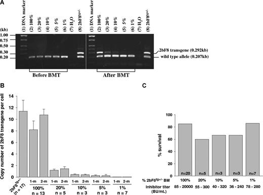 Figure 6. The dosage effect of platelets expressing FVIII on phenotypic correction. Different proportions of mixed BM mononuclear cells from 2bF8tg+/− (20%, 10%, 5%, and 1% of 2bF8tg+/−) and FVIIInull (80%, 90%, 95%, and 99% of FVIIInull) were prepared and transplanted into lethally irradiated immunized FVIIInull recipients. (A) PCR detection of 2bF8 transgene. DNA was purified from peripheral white blood cells. A 0.292-kb fragment from 2bF8 transgene and a 0.207-kb fragment from the wild-type allele were amplified by PCR. (Left panel) PCR results from recipients before BM transplantation. (Right panel) Results after BM transplantation. Shown is one representative experiment that was performed 4 times. (B) Quantitative real-time PCR determined the average copy number of 2bF8 transgene per cell in BMT recipients. (C) Tail clip survival test assessed phenotypic correction in recipients. There is no significant difference between those groups. Data shown are summarized from 2 BM transplantation trials. These data show that having even a small proportion of platelets that contain FVIII still improves hemostasis in hemophilic mice with preexisting immunity.