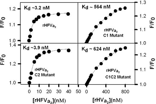 Figure 4. Binding of human rFVa2 to DEGR-FXa in the presence of C6PS. Binding of factor rFVa2 to DEGR-FXa was detected by the change in fluorescence intensity of DEGR, which is covalently bound to the active site of FXa. Small aliquots of wild-type rFVa2, C2 mutant, C1 mutant, and C1-C2 mutant were added to DEGR-FXa (1 nM in 5 mM Ca2+, 50 mM Tris, 150 mM NaCl, 0.6% polyethylene glycol, 400 μM C6PS, pH 7.5). The lines through the data were obtained by least-squares regression to a simple single-site binding model with the best fit Kd values for wild-type rFVa2, C2 mutant, C1 mutant, and C1-C2 mutant being 3.1 (± 0.4) nM, 4.0 (± 0.6) nM, 564 (± 35) nM, and 624 (± 40) nM, respectively.