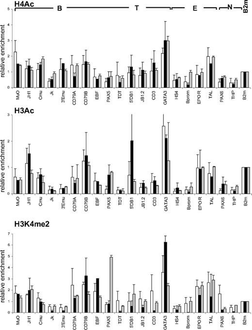 Figure 5. Comparison of histone modifications in CD34+CD38lo, CD34+, and CD34+38+10−19− cord blood progenitors. ChIP analyses of multipotent CD34+CD38lo (▭), total CD34+ (), and B-lymphoid–depleted CD34+38+10−19− () progenitors with antibodies to histone H4Ac, H3Ac, and H3K4me2 at B-lymphoid (B), T-lymphoid (T), erythroid (E), nonhematopoietic (N), and β2-microglobulin (B2m) genes. Results are shown as enrichment values (bound/input) relative to the B2m control and are means and standard deviations of 2 to 5 independent ChIP experiments analyzed in triplicate.