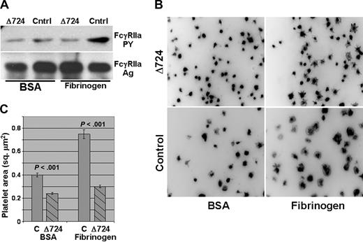 Figure 4. The cytoplasmic domain of the integrin β3 subunit is required for ligand binding–induced phosphorylation of FcγRIIa. Washed platelets from a patient expressing a homozygous mutant form of a Δ724 β3 integrin subunit were plated onto immobilized fibrinogen or BSA and allowed to spread for 45 minutes at 37°C. Note the failure of platelets harboring a truncated β3 cytoplasmic tail to support tyrosine phosphorylation of FcγRIIa (A) or to spread on immobilized fibrinogen (B,C). Representative pictures are shown in panel B, with the average pixel area of 148 to 350 platelets per condition quantitated and shown in panel C. Error bars show mean plus or minus SEM.