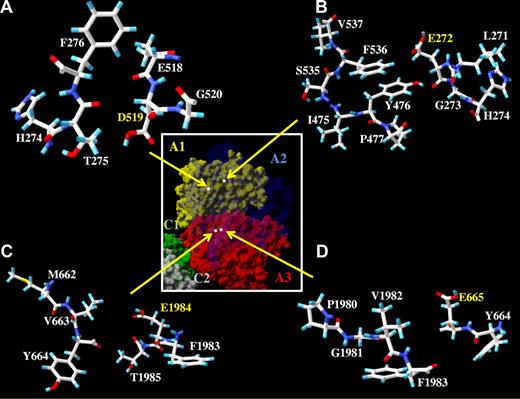 Figure 6. Residues surrounding Asp519, Glu272, Glu1984, and Glu665. Factor VIII surface models of indicated regions based on the A domain homology model19 are drawn by Swiss PDB viewer; A1 domain (residues 1-336), A2 domain (residues 373-711), and A3 domain, (residues 1690-2332). Hydrogen, carbon, oxygen, sulfur, and nitrogen are colored cyan, white, red, yellow, and blue, respectively. There are no possible hydrogen acceptor or donor from the residues near the residues Asp519 (A), Glu272 (B), Glu1 984 (C), and Glu665 (D). (Inset) Factor VIII surface model of individual domains are drawn by Swiss PDB viewer and colored as yellow (A1), transparent blue (A2), red (A3), green (C1), and gray (C2). White dots indicate the location of side chain atoms of the indicated residues (Asp519, Glu272, Glu1984, and Glu665) as shown in the panels A, B, C, and D, respectively.