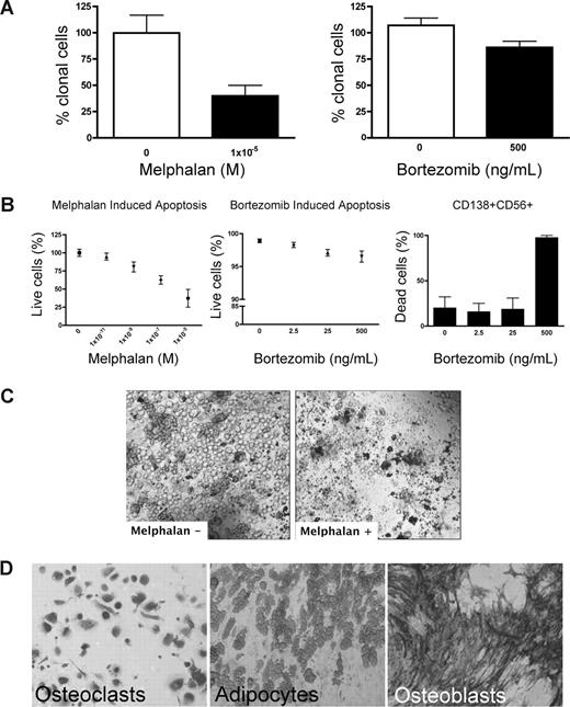 Figure 4. Melphalan and bortezomib affect the hematopoietic, but not the stromal, compartment of rBM. (A-D) MM BMCs were grown in 3-D for 14 days and treated with melphalan or bortezomib (“Preclinical drug treatment studies”). (A) The reduction of the clonal cells was measured by RQ-PCR with patient specific primers (melphalan, P = .016; bortezomib, P = .033; n = 5 individually analyzed patients). (B) Apoptosis within rBM was assessed by flow cytometry measuring annexin V reactivity after treatment with melphalan (left panel) or bor-tezomib (middle panel). MM specific cell killing by bor-tezomib was monitored in the CD138+/CD56+ population by annexin V reactivity (right panel; n = 5 individually analyzed patients). Error bars represent SEM. (C) rBM was grown and treated with melphalan as in panel A. Cell kill was monitored by brightfield microscopy (original magnification 200×; see “Microscopy”). Representative images from 5 individually analyzed patients. (D) The rBM layer was removed, and the cells at rEnd were stained with TRAP (osteoclasts), Oil Red (adipocytes), and ALP (osteoblasts). Brightfield microscopy (original magnification 200×; see “Immunohistochemistry”). Representative images from 5 individually analyzed patients.