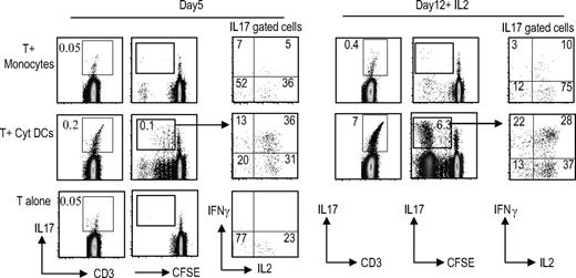Figure 2. DCs are superior to monocytes for the expansion of TH17 cells. T cells were labeled with the CFSE dye to monitor proliferation and cultured either alone (T alone) or with cytokine-matured DCs (T + Cyt DC) or monocytes (T + monocyte). On day 5, some of the cells were examined for proliferation as well as IL17 production using PMA/ionomycin stimulation as before. IL2 was added to the rest of the cultures. On day 12, the DC–T-cell cocultures were again examined for proliferation of the T cells as measured by the CFSE dilution and the presence of IL17 cells as well as for the cytokine profile of the IL17-producing cells with PMA/ionomycin stimulation. Figure represents one of 5 similar experiments.