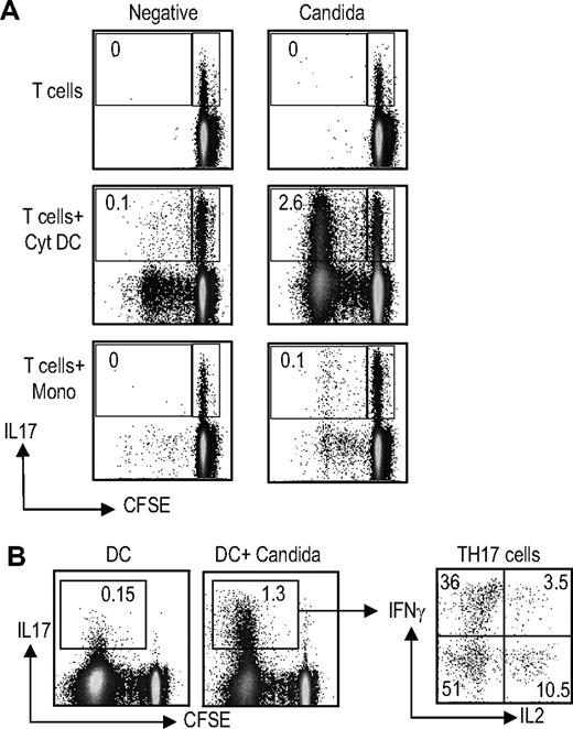 Figure 4. Expansion of antigen-specific Th17 cells by DCs. (A) Comparison of monocytes versus Cyt-DCs for the expansion of antigen-specific Th17 cells. CFSE-labeled T cells were cultured alone (T cells), or cocultured with cytokine-matured DCs (T cells + Cyt DC) or monocytes (T cells + Mono) with or without loading with Candida antigen (20 μg/mL overnight). At 5 days later, T cells were stimulated with PMA/ionomycin in the presence of monensin. Candida antigen–specific T cells (those that proliferated and diluted their CFSE in response to stimulation with DCs loaded with Candida antigen) were examined for the production of IL17 and IFNγ as well as IL2 using flow cytometry. Figure represents one of 5 similar experiments. (B) T cells from cultures expanded using Candida-loaded Cyt-DCs as in panel A were restimulated with unpulsed DCs or Candida-loaded DCs. The presence of IL17-, IFNγ-, and IL2-producing cells was analyzed using flow cytometry.