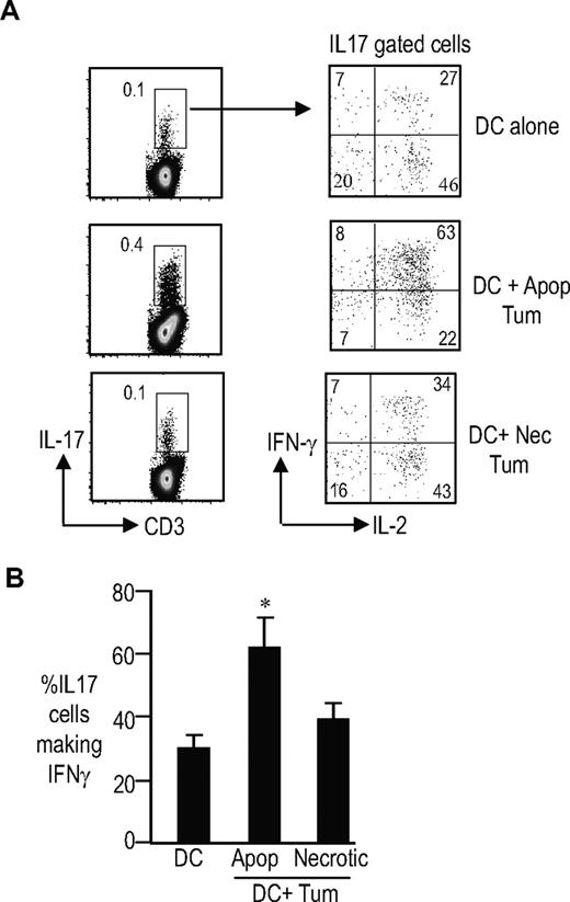 Figure 6. Induction of Th17/1 cells by DCs loaded with apoptotic but not necrotic tumor cells. T cells were cultured with immature DCs (DC) or immature DCs fed apoptotic (DC + Apop tum) or necrotic myeloma tumor cells (DC + necrotic Tum) for 5 to 7 days. The frequency of IL17-producing cells as well as the profile of the Th17 cells was analyzed by intracellular cytokine flow cytometry after stimulation of the cells with PMA and ionomycin in the presence of GolgiStop. Data shown are for DCs fed with U266 myeloma cells. Similar findings were seen after uptake of OPM2 cells (data not shown). (A) The top panel shows the frequency of Th17 cells; the bottom panel shows the expression of IFNγ or IL2 in IL17-expressing cells. (B) Summary of experiments on 4 separate donors showing the percentage of TH17–1 T cells when T cells are cultured with DCs or DCs loaded with apoptotic or necrotic myeloma tumor cells. *P < .001 for DC + apoptotic cells compared with DC alone and DC + necrotic cell conditions. The data represent means plus SD.