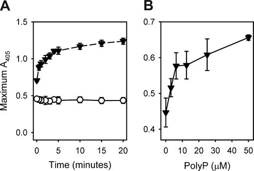 Figure 4. Preincubation of fibrinogen with polyP and Ca2+ influences final clot turbidity. (A) Final turbidities of clots formed with fibrinogen mixed with thrombin were quantified as described in “Measurements of clot turbidity.” Reactions contained 2.6 mg/mL fibrinogen preincubated for the indicated times in the presence of 2.5 mM CaCl2 with 1 mM polyP (▼) or without polyP (○), after which clotting was initiated with 8 nM thrombin. Data are mean plus or minus SE (n = 3). (B) Final turbidities of clots formed with prothrombin-deficient plasma mixed with thrombin were quantified as described in “Measurements of clot turbidity.” Reactions contained citrated plasma (80%) with added CaCl2 (13.7 mM) and were preincubated for 15 minutes with polyP concentrations as indicated on the x-axis. Clotting was then initiated with 10 nM thrombin. Data are mean plus or minus SE (n = 4).