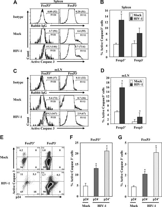 Figure 5. Depletion of Treg cells by HIV-1 was associated with induction of apoptosis. Cells from spleen (A) and mLN (B) in HIV-1– or mock-infected mice were harvested; human FoxP3+ Treg cells and FoxP3− T cells (CD45+CD3+CD8−) were analyzed for the expression of activated caspase-3 in the spleen and mLN. Numbers indicate percentage active caspase-3+ cells. Numbers in parentheses indicate relative caspase-3 signals of total CD3+CD8−FoxP3+ or CD3+CD8−FoxP3− T cells. Summarized data of percentage of active caspase-3 of FoxP3+ Treg cells or FoxP3− T cells in spleen (C) and mLN (D) are shown. (E-G) Induction of apoptosis in HIV-infected (p24+) and bystander (p24−) cells of FoxP3+ or FoxP3− (CD3+CD8−) T cells. (E) FACS plots with mLN CD45+CD3+CD8− T cells from mock- and HIV-infected DKO-hu mice. Numbers indicate percentage of cells in each subpopulation. Relative induction of apoptosis in p24+ and p24− FoxP3+ Treg cells (F) and FoxP3− T cells (G) is summarized. Data shown are representative of 3 independent experiments with at least 3 mice in each group. Error bars indicate standard errors. *P < .05.