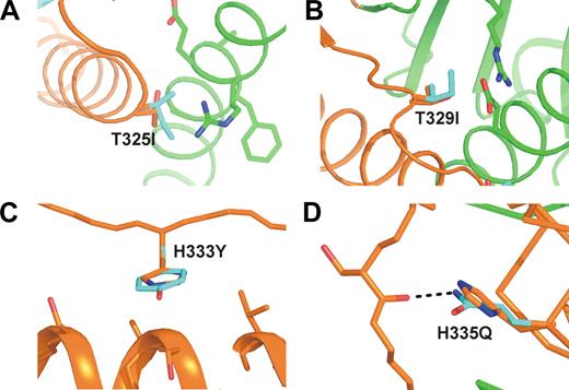 Figure 4. Stabilizing effects of TAFI-IIYQ mutations. Mutations T325I (A) and T329I (B) form additional interactions with residues from the catalytic domain outside the dynamic flap. Mutations H333Q (C) and H335Y (D) stabilize the dynamic flap through interactions within the flap. Because the side chain conformation of Ile325 and Ile329 could not be determined unequivocally from the electron density, details of these interactions remain subject to speculation. Wild-type residues are shown in orange and mutated residues in cyan. H-bonds are shown as black dashes.
