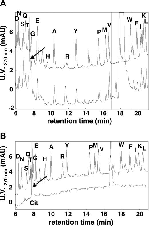 Figure 1. Identification of naturally citrullinated CXCL10. Natural CXCL10 was subjected to Edman degradation. Overlays are shown of the RP-HPLC chromatograms detected at 270 nm (mAU, milliabsorption units) of 2 pmol of the 19 PTH amino acids (indicated by their 1-letter code on the top chromatograms) and of the 5th amino acid in the CXCL10 sequence (A) or of PTH-citrulline (Cit; B). ↙ indicates the major signal in these chromatograms.