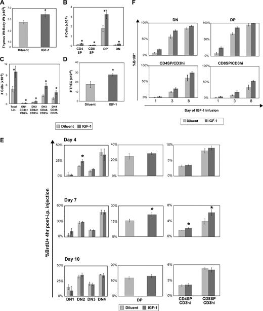 Figure 1. Exogenous IGF-1 enhances thymic function, thymocyte proliferation, and thymopoietic throughput. Recombinant human IGF-1 was administered by continuous infusion using subcutaneously placed osmotic pumps to deliver a dose of 100 μg/day for a total of 2 weeks in 8- to 12-week-old thymus-intact female C57BL/6 mice. Mice were killed at the end of the 2-week infusion for analysis, or had pumps replaced to deliver another 2-week course of continuous IGF-1 at 100 μg/day for a total course of 4 weeks. Thymus data (A-D) were obtained after 2 weeks of IGF-1 treatment: (A) Normalized thymus weight to body weight ratios; (B) major thymocyte subsets defined by CD4+ and CD8+ staining patterns, from least mature to most mature: DN (CD4− CD8−), DP (CD4+ CD8+), and CD4SP (CD4+ CD8−) and CD8SP (CD4− CD8+); (C) early thymocyte subpopulations defined by lineage− and CD44 and CD25 costaining patterns, with maturation progression from DN1 through DN4; and (D) total thymus TRECs after 2 weeks of IGF-1 treatment. (E) Effect of IGF-1 on thymocyte proliferation. At the specified time points during IGF-1 administration, BrdU was administered intraperitoneally and BrdU uptake in the specified thymocyte subpopulations was assessed as a measure of cell-cycle entry. Shown are representative data of 2 independent experiments with 4 mice per group per time point. *P < .05 between IGF-1– and diluent-treated mice. (F) Effect of IGF-1 on thymopoietic throughput. IGF-1 was administered together with BrdU (0.8 mg/mL) spiked into the drinking water for continuous BrdU administration. At the specified days of IGF-1/BrdU coadministration, thymocyte populations were analyzed for BrdU uptake. Shown are representative data of 2 independent experiments with 4 mice per group per time point. P < .05 between IGF-1– and diluent-treated mice for all subsets at all time points. Error bars represent SEM.