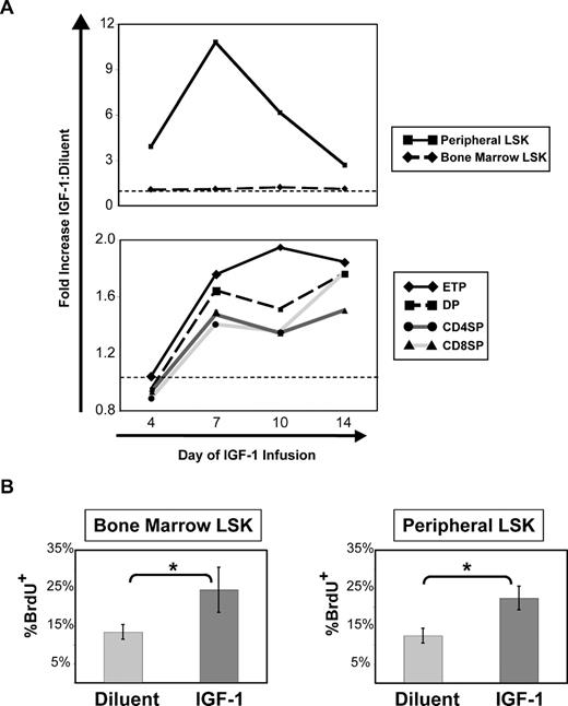 Figure 3. Exogenous IGF-1 expands peripheral LSK and increases cell cycle entry of bone marrow and peripheral LSK before numeric increases in thymocyte populations. (A) IGF-1 was administered by continuous infusion for 2 weeks into 8- to 10-week-old thymus-intact C57BL/6 mice. At days 4, 7, 10, and 14 of IGF-1 infusion, cohorts of mice were killed and analyzed for thymocyte and peripheral (combined spleen and lymph node) LSK enumeration. Shown are the quantitative fold differences for each cell population between IGF-1–treated and diluent-treated control mice at each time point during IGF-1 administration. Data points are based on the combined data of 2 independent experiments, with 6 mice per group per time point. Quantitative differences between IGF-1 and control mice were statistically significant (P < .05) for all populations except for bone marrow LSK at all time points and thymocyte subpopulations at day 4 only. Dotted lines indicate 1:1 ratio in cell numbers between IGF-1–treated and diluent-treated control mice. ETP indicates early thymic progenitor (lineage−, CD44hi, CD25−, c-kit+); LSK, lineage−, Sca-1+, c-kit+ progenitor cells. (B) BrdU uptake after intraperitoneal BrdU administration was measured in bone marrow and peripheral LSK at day 4 of IGF-1 administration in C57BL/6 mice. Shown are representative data from 3 independent experiments, with 4 mice per group. Error bars represent SEM. *P < .05 between IGF-1– and diluent-treated mice.