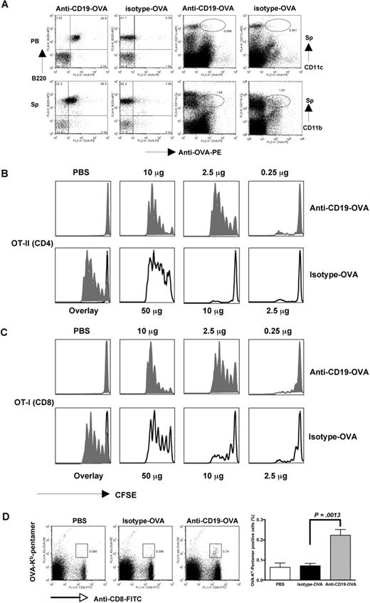 Figure 1. In vivo targeting of conjugates and T-cell proliferation mediated by anti–CD19-OVA or isotype mAb-OVA conjugates. (A) Anti–CD19-OVA or isotype mAb-OVA conjugates (10 μg) were intravenously injected into mice. Peripheral blood (PB) was drawn at 30 minutes after injection. Cells were stained with B220 and anti-OVA Ab. Mice were then killed after 2 hours of injection. Splenocytes (Sp's) were stained with B220, CD11c, CD11b, and anti-OVA Ab. Data suggest that anti–CD19-OVA conjugates predominately bind to B cells. For in vivo T-cell proliferation assay, 106 CFSE-labeled naive CD4 OT-II T cells (B) or CD8 OT-I T cells (C) were intravenously adoptively transferred into naive C57Bl/6 mice. The next day, mice were injected with a single dose of anti–CD19-OVA or isotype mAb-OVA conjugates or PBS. Recipient mice were killed after 3 days and turnover of T cells from splenic cells was examined by flow cytometry. Cells were gated on CFSE-positive population. T-cell proliferation shown in overlay histogram was from PBS, 2.5 μg isotype-OVA, or 2.5 μg anti–CD19-OVA. (D) Naive C57Bl/6 mice were immunized with isotype mAb-OVA or anti–CD19-OVA conjugates (10 μg). Mice injected with PBS were used as controls. Five days after immunization, mice were killed and splenocytes were stained with anti-CD8, anti-CD19, and H-2Kb-OVA/SIINFEKL pentamer. Cells were gated on CD19− lymphocytes. Representative of 3 or more experiments. Error bars represent SD.