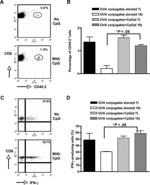 Figure 3. Prolonged T-cell survival by CpG. Similar to Figure 2C, 2 million CD8 OT-I T cells were administrated to SJL mice. Mice were immunized with 2.5 μg anti–CD19-OVA conjugates in the presence or absence of CpG (50 μg/mouse). Splenocytes were harvested at day 7 or day 15 and the percentage of CD45.2+ cells was determined by flow cytometry. Cells were gated on the CD8+ population. (A) Representative dot plots showing CD8+CD45.2+ cells at day 15. (B) Percentage of CD8+CD45.2+ cells (n = 5). (C) Splenocytes harvested on day 15 were restimulated with OVA (10 μg/mL) and intracellular IFN-γ staining was performed. Representative dot plots showing IFN-γ staining. Cells were gated on the CD8+CD45.2+ population. (D) Percentage of IFN-γ–producing CD8+ T cells. Cells were gated on the CD8+CD45.2+ population (n = 5). Error bars represent SEM.