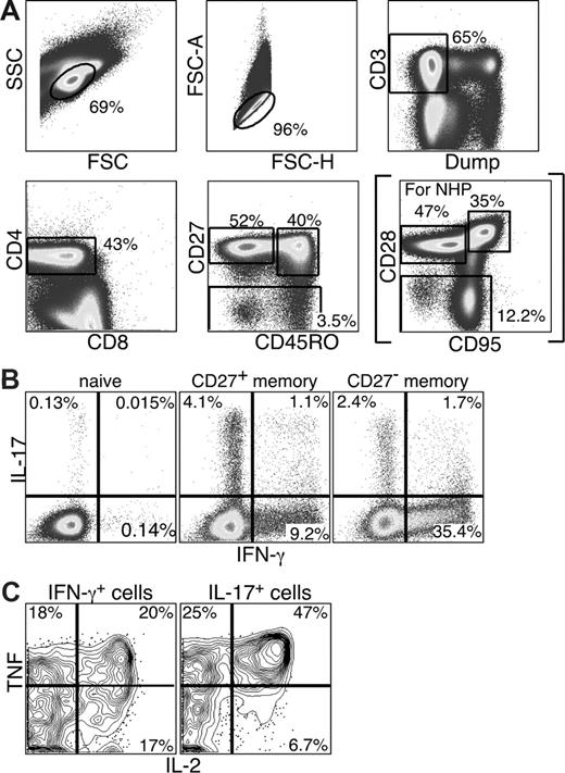 Figure 1. Th17 cells are detected in PB and do not significantly overlap with Th1 CD4 T cells. PB lymphocytes were stimulated with anti-CD3 overnight in the presence of brefeldin A. Cells were then stained and analyzed by flow cytometry as described in “Intracellular cytokine assay.” (A) Cells were gated based on characteristic light scatter properties, followed by positive staining for CD3 without binding to the dead cell dye, and then for CD4 staining without CD8 staining. Naive and memory CD4 T-cell subsets were gated based on characteristic expression patterns of CD45RO and CD27 (or CD28 and CD95 for studies with Sooty mangabeys, as shown in parentheses). (B) Individual subsets of CD4 T cells were analyzed for production of either IL-17 or IFN-γ. (C) The IL-17– and IFN-γ–producing memory subsets were further analyzed for the production of TNF and IL-2.
