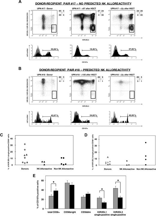 Figure 4. Single-KIR+ NK cells after haploidentical HSCT are highly variable in frequency and hyporesponsive, independently from predicted NK alloreactivity. (A,B) CD107a mobilization of single-KIR2DL3+ NK cells in response to the 721.221 BLCL in patients at 75 to 150 days or more than 2 years after haploidentical HSCT, and their HSC donors, was analyzed as described in “CD107a mobilization assay.” Donors carried the KIR2DL3 gene but not KIR2DL2 or KIR2DS2, thus allowing for specific detection of KIR2DL3 by use of the mAb GL183. Out of a first gate on CD56+ lymphocytes, a subsequent gate was selected for cells positive for KIR2DL3 and negative for CD3, NKG2A, KIR2DL1/2DS1, and KIR3DL1 (single-KIR2DL3+ NK cells, highlighted gates in each density plot). CD107a mobilization by this subset of cells was assessed after a 6-hour incubation with high-dose rhIL-2 in the presence (black profile in histograms) or in the absence (gray profile in histograms) of the 721.221 HLA class I–deficient BLCL. Shown are one representative nonalloreactive (A) and one alloreactive (B) donor-recipient pairs. Frequency of KIR2DL1 (C) or KIR2DL3 (D) single-positive NK cells in donors (gray symbols) and in patients at 3 to 5 months following haploidentical HSCT (black symbols), in the presence or absence of predicted NK alloreactivity (triangles and circles, respectively). (E) Mean percentage of CD107a mobilization, with SE, by total CD56+, CD56bright, CD56dim, single-KIR2DL1+, or single-KIR2DL3+ NK cells in patients at days 75 to 150 after haploidentical HSCT () or in their donors (). Asterisks indicate a P value of .05 or less from a Wilcoxon test for paired data.