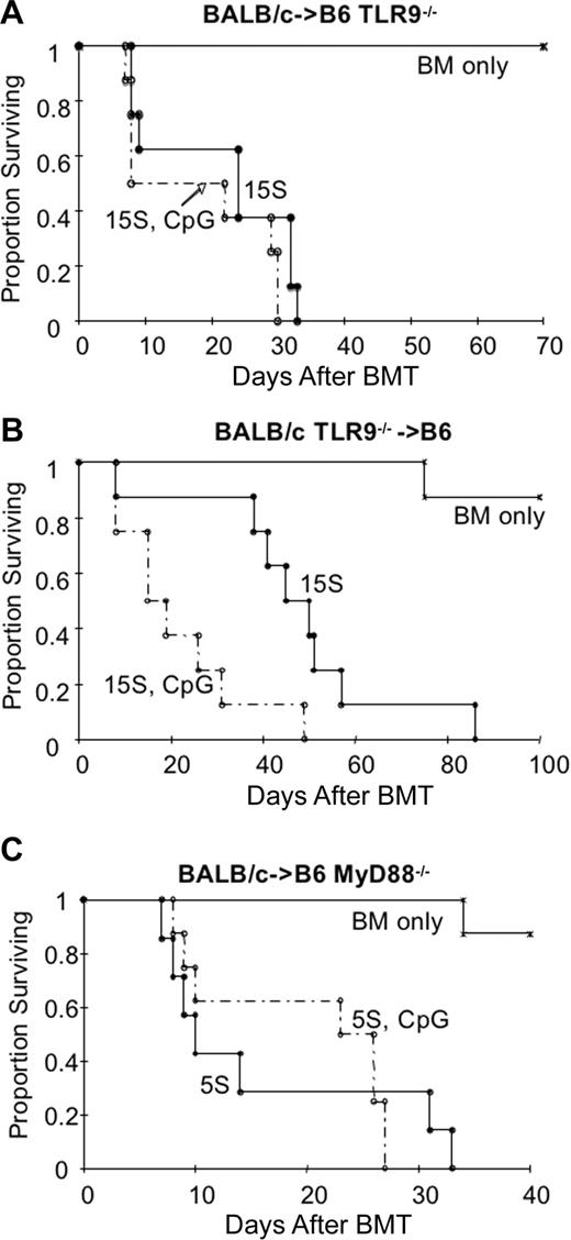 Figure 3. CpG ODNs accelerate GVHD by TLR9 ligation of host but not donor APCs. CpG ODNs were given intraperitoneally to cohorts of mice on d0, d7, d14, d21, and d28 (100 μg/dose). Recipients were lethally irradiated on d−1. (A) B6 TLR9−/− mice were given wild-type BALB/c BM and splenocytes (15 × 106). n = 8 per group, P = .085. (B) Wild-type B6 mice were given BALB/c wild-type BM and BALB/c TLR9−/− splenocytes (15 × 106). n = 8 per group, P = .012. (C) B6 MyD88−/− mice were given wild-type BALB/c BM and splenocytes (5 × 106). n = 7 to 8 per group, P = .432.